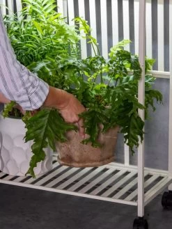 Oslo 2-Tier LED Grow Light Garden, 2 Fixtures -Green Haven Shop 8609220 4122 tif