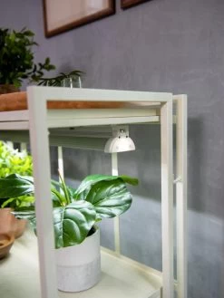 Oslo 2-Tier LED Grow Light Garden, 2 Fixtures -Green Haven Shop 8609221 4101 tif