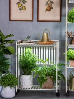 Oslo 2-Tier LED Grow Light Garden, 2 Fixtures -Green Haven Shop 8609221 7236 tif