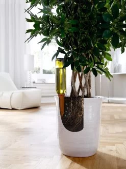 Hydro Wine Container Watering System, Set Of 4 -Green Haven Shop 8609224 04V tif