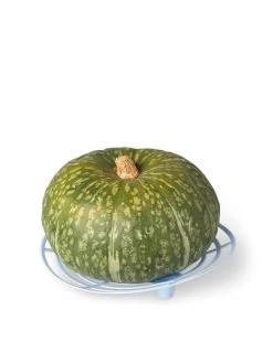 Melon And Squash Cradles, Set Of 6 -Green Haven Shop 8609464 5204 tif