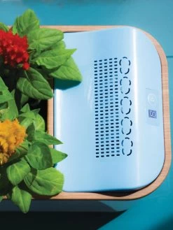 Dewplanter -Green Haven Shop 8609512 Dewplanter