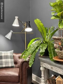 Adjustable 3-Arm Grow Lamp -Green Haven Shop 8609868 01IN tif