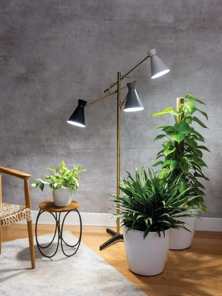 Green Haven Shop -Green Haven Shop 8609868 9357 3 arm modern plant grow lamp tif