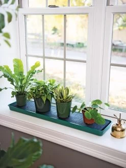 Self-Watering Windowsill Tray -Green Haven Shop 8609873 9011 tif