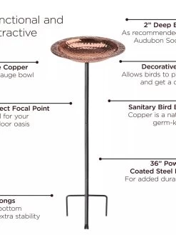 Copper Birdbath With Stake 6 Copper Birdbath With Stake -Green Haven Shop 8609876 03V jpg