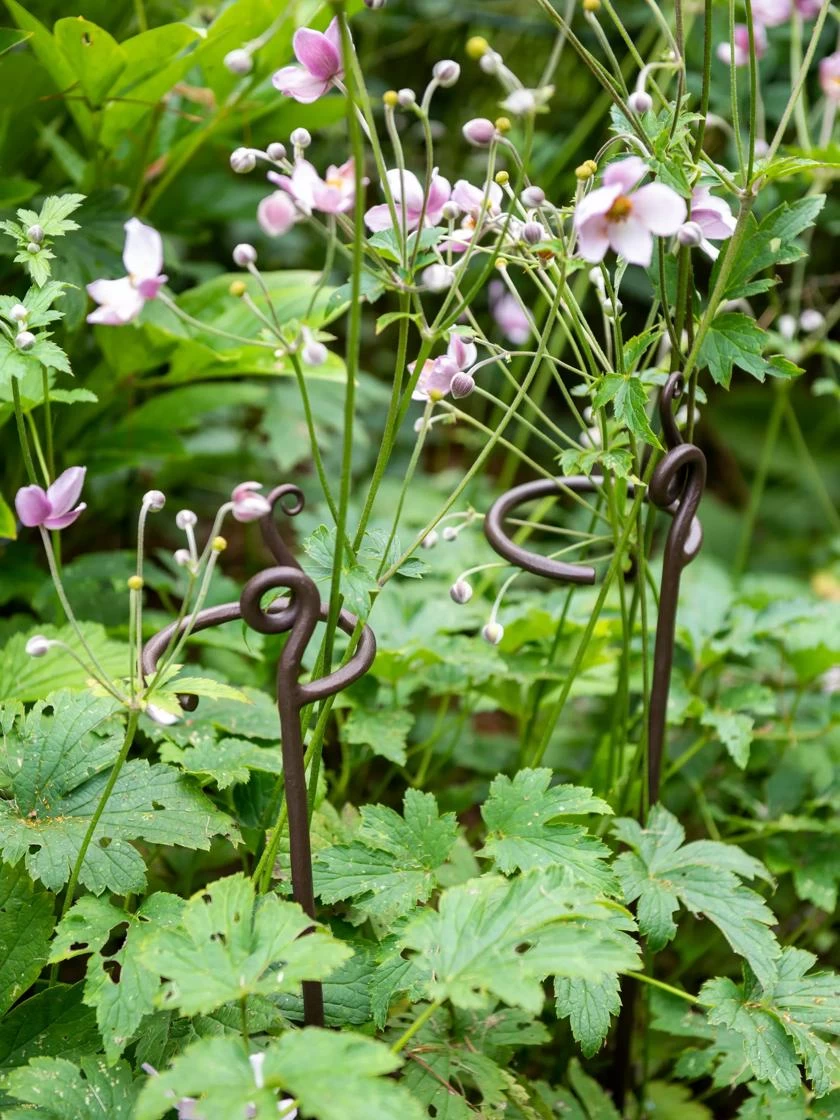 Green Haven Shop -Green Haven Shop 8609887 8022 tif