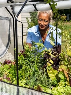 VegTrug®Patio Garden Greenhouse Cover Kit -Green Haven Shop 8610172 1256