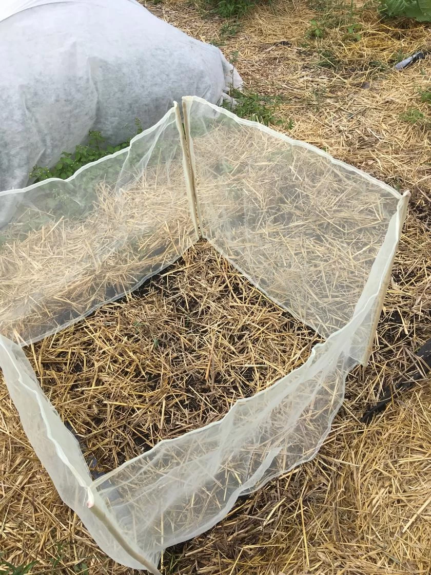 Wind Screen 2 Wind Screen - Image 2