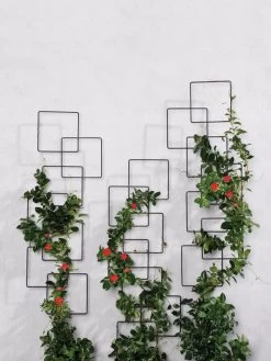 Building Blocks Wall Trellis, 45" -Green Haven Shop 8610183 5811 tif