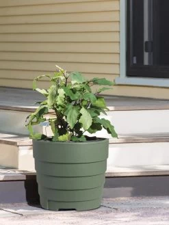 Gardener’s Victory Self-Watering Patio Planter -Green Haven Shop 8610236 015143 tif