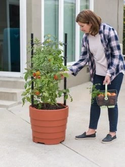 Gardener’s Victory Self-Watering Planter Garden Kit -Green Haven Shop 8610239 06002 tif