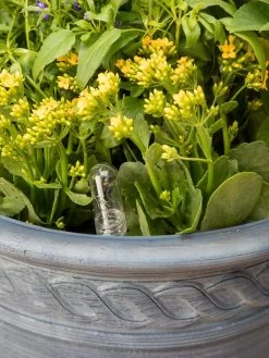 Adjustable Self-Watering Insert For Pots And Planters -Green Haven Shop 8610250 0010 tif