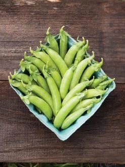 Family Garden Organic Seed Collection, Set Of 7 -Green Haven Shop 8610262 cascadia peas 01V tif