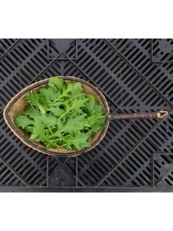 Silk Road Garden Organic Seed Collection, Set Of 6 -Green Haven Shop 8610264 mizuna babyleaf 01v