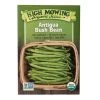 Antigua Bush Bean Organic Seeds