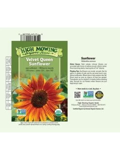Velvet Queen Sunflower Organic Seeds -Green Haven Shop 8610362 01v
