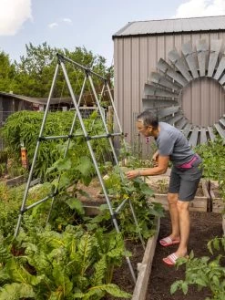 Connector Kit For DIY A Frame Plant Support -Green Haven Shop 8610366 7584 tif