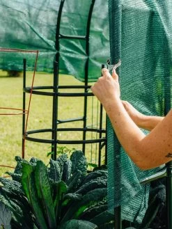 Maxi Garden Hoops With Clips -Green Haven Shop 8610372 368 tif