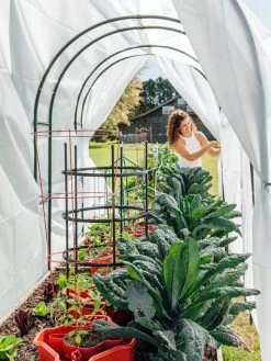 Maxi Garden Hoops With Clips -Green Haven Shop 8610373 377 tif