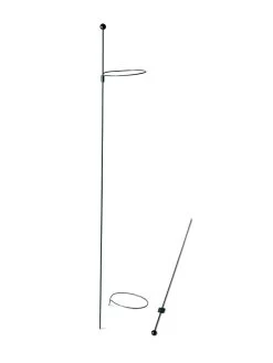 Peacock Mini Plant Support Rings 4", Set Of 2 -Green Haven Shop 8610386 9566