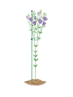 Peacock Mini Plant Support Rings 4", Set Of 2 -Green Haven Shop 8610386 peacock4x36