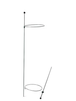 Peacock Mini Plant Support Rings 8", Set Of 2 -Green Haven Shop 8610388 9565 tif