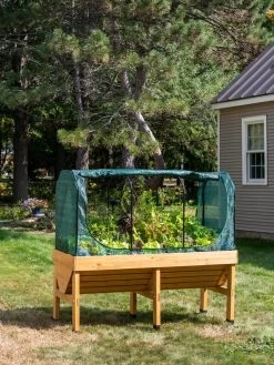 VegTrug® Patio Garden Shade Cover -Green Haven Shop 8610408 8357 tif