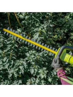 Sun Joe 24V-HT22-LTE 24-Volt ION+ Cordless Hedge Trimmer Kit | 22-Inch | W/ 2.0-Ah Battery And Charger -Green Haven Shop 8610657 09v
