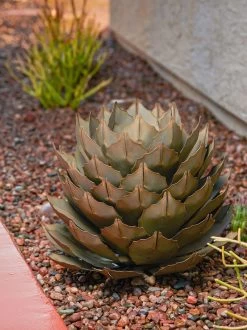 Desert Steel Artichoke Agave Sculpture -Green Haven Shop 8610761 042v