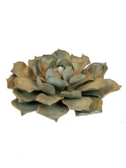 Desert Steel Blue Rose Succulent Sculpture -Green Haven Shop 8610763 01v desert steel blue rose succulent small