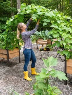 2’ X 8’ Arch Trellis For Planter Boxes -Green Haven Shop 8610798 050 tif