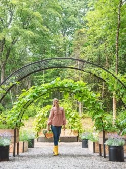 2’ X 8’ Arch Trellis For Planter Boxes -Green Haven Shop 8610798 071 tif