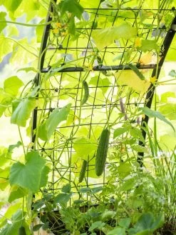 2’ X 8’ Arch Trellis For Planter Boxes -Green Haven Shop 8610798 095 tif