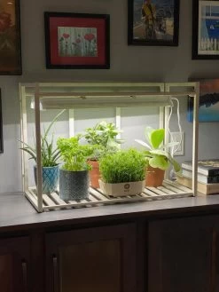 Oslo 1-Tier LED Grow Light Garden 12 Oslo 1-Tier LED Grow Light Garden -Green Haven Shop 8611002 01IN tif