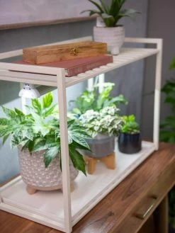 Oslo 1-Tier LED Grow Light Garden 11 Oslo 1-Tier LED Grow Light Garden -Green Haven Shop 8611002 2002 tif