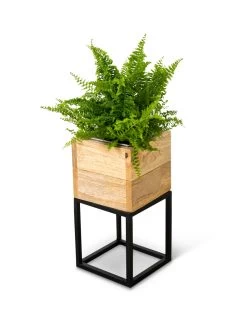 Tartu Elevated Square Planters -Green Haven Shop 8611004 038