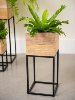 Tartu Elevated Square Planters -Green Haven Shop 8611005 035