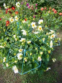 New Release -Green Haven Shop 8611129 004 tif