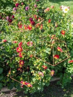 Parasol Plant Supports, Set Of 3 -Green Haven Shop 8611129 050 tif