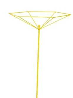 Parasol Plant Supports, Set Of 3 -Green Haven Shop 8611129 3844 tif