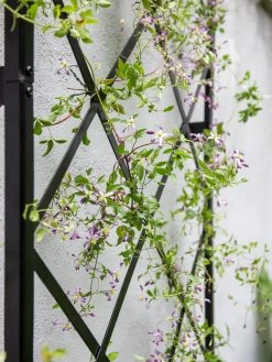 Lattice Gable Wall Trellis -Green Haven Shop 8611130 011