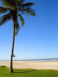 MAXSA® Solar-Powered LED Flag Light -Green Haven Shop 8611318 02v