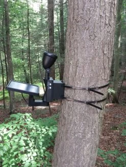 MAXSA® Solar-Powered LED Flag Light -Green Haven Shop 8611318 03v