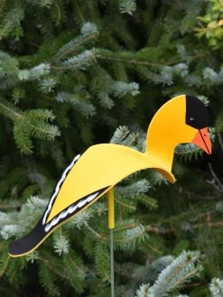 Florida Dancing Birds®, Songbirds -Green Haven Shop 8611629 04v