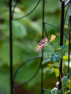 Green Haven Shop -Green Haven Shop 8611658 026 tif