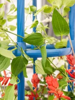 Fleur De Lis Obelisk, 67" -Green Haven Shop 8611663 0607 tif