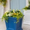 Fairfield Self-Watering Square Planter, 16” X 16”