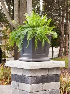 Fairfield Self-Watering Square Planter, 16” X 16” -Green Haven Shop 8611695 06V tif