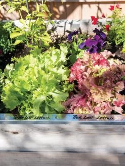 Re-Markable Raised Bed Trim -Green Haven Shop 8611758 306 tif